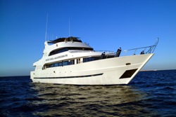 Luxury Liveaboard SAVE 25% and FREE NIGHTS! Luxury Liveaboard SAVE 25% and FREE NIGHTS!